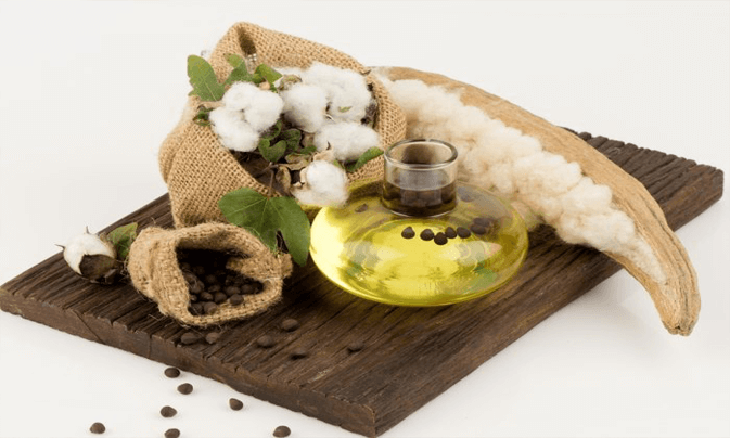 Cotton seed