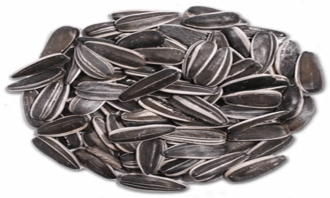 Sunflower seed